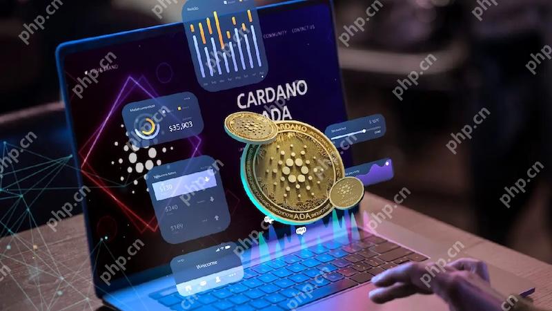 一文让你读懂NFT和比特币的区别 - php中文网